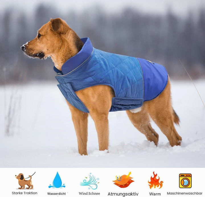 Idepet Winddichter Hundemantel Winter Warme Jacke,Anti-Schneeanzug Hundebekleidung für kleine mittel