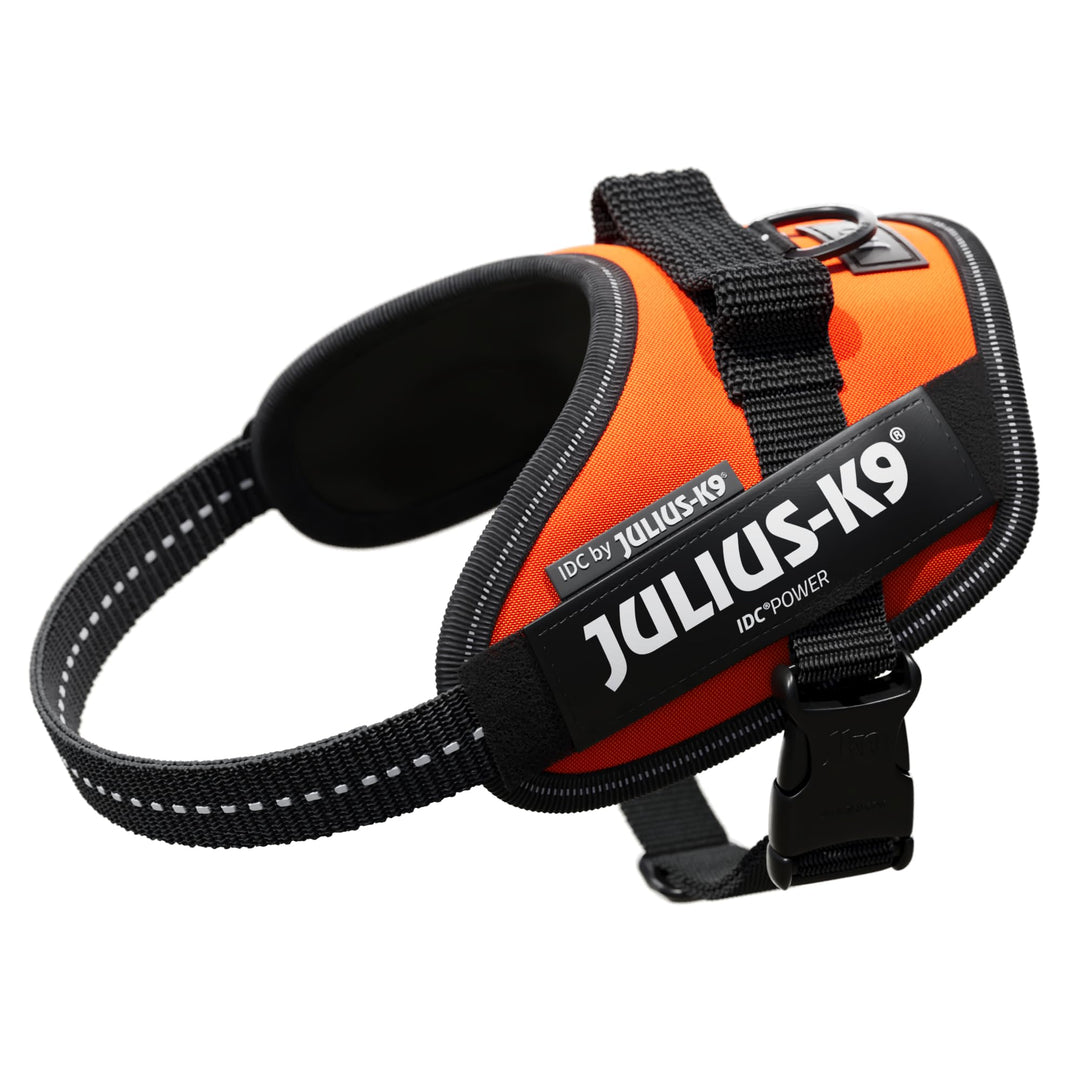IDC Powergeschirr, Grösse: XS/Mini-Mini, UV Orange UV Orange XS/Mini-Mini, UV Orange XS/Mini-Mini