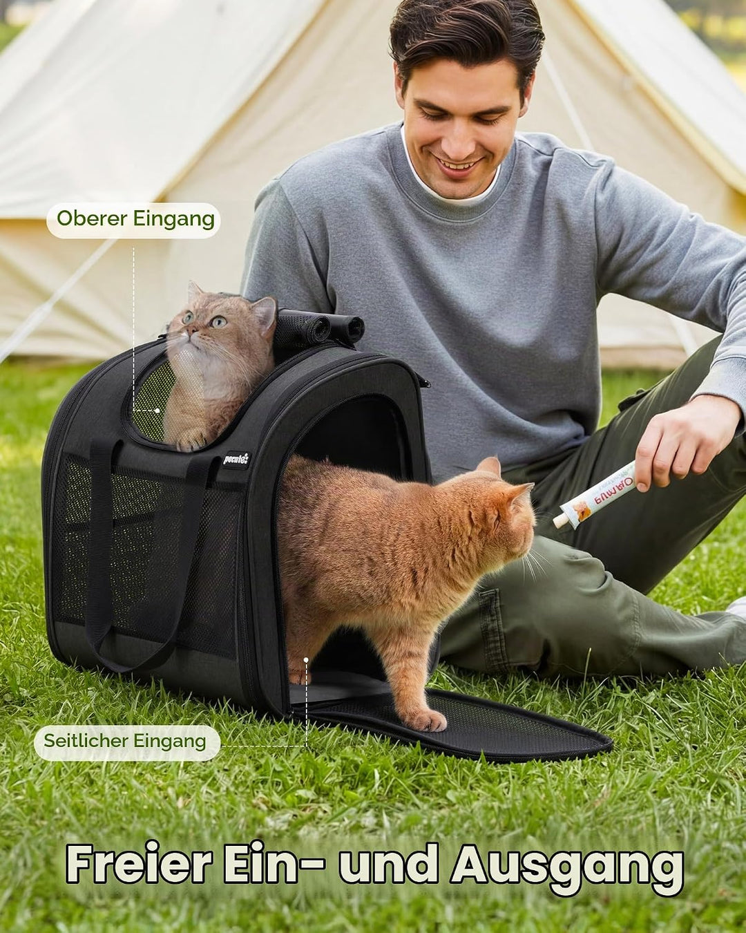 pecute Rucksack Hunde &amp; 2 Kleine Katzen, Katzentrage, Haustier Handtasche und Rucksack, Haustiertrag