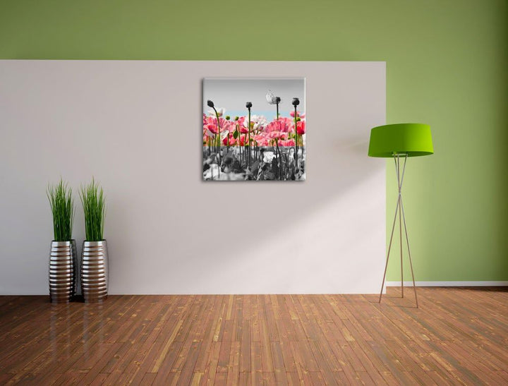 Pixxprint Blumenwiese Mohnblumen als Leinwandbild Quadratisch/Grösse: 70x70 / Wandbild/Kunstdruck/fe