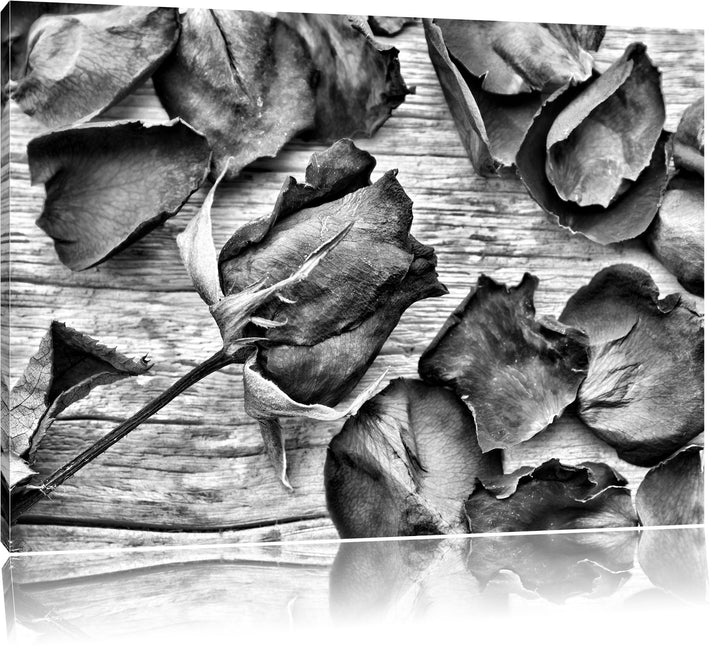 Pixxprint Rosen auf Holztisch/Format: 100x70cm / Leinwandbild fertig bespannt Wandbild Kunstdruck, 1