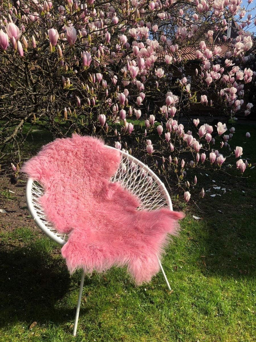 Hollert Lammfell Tibet Sheepskin Monglolisches Schaffell gelockt sehr weich Echtfell Dekoration Läuf