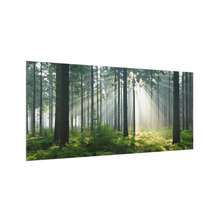 Bilderwelten Küchen-Spritzschutz 59 x 120 cm Enlightened Forest Wald Wiesen Natur Rückwand 59cm x 12
