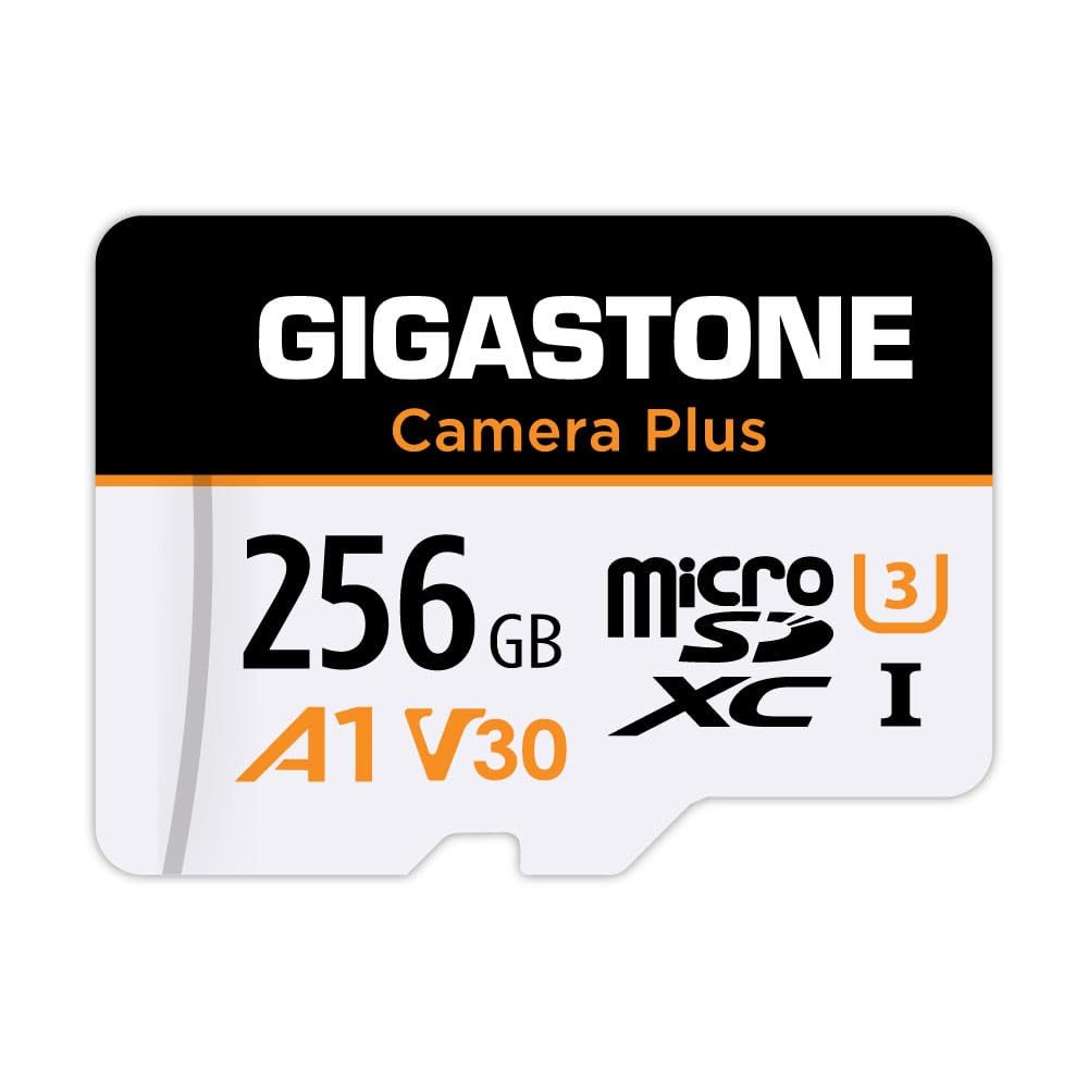 [GIGASTONE] Micro-SD-Karte, 256GB, Kamera Plus, Action-Kamera, Sportkamera, hohe Geschwindigkeit 100