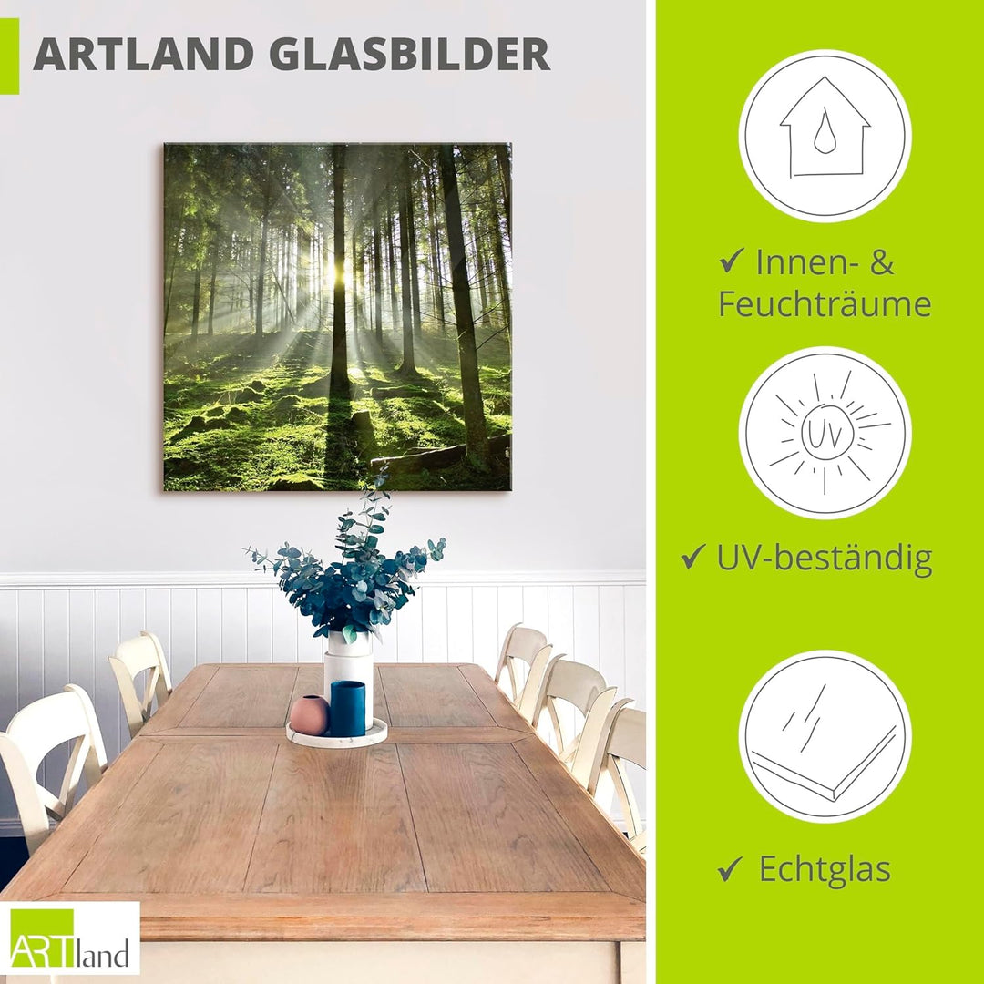 Glasbilder Wandbild Glas Bild einteilig 50x50 cm Quadratisch Natur Wald Landschaft Sonne Bäume Moos
