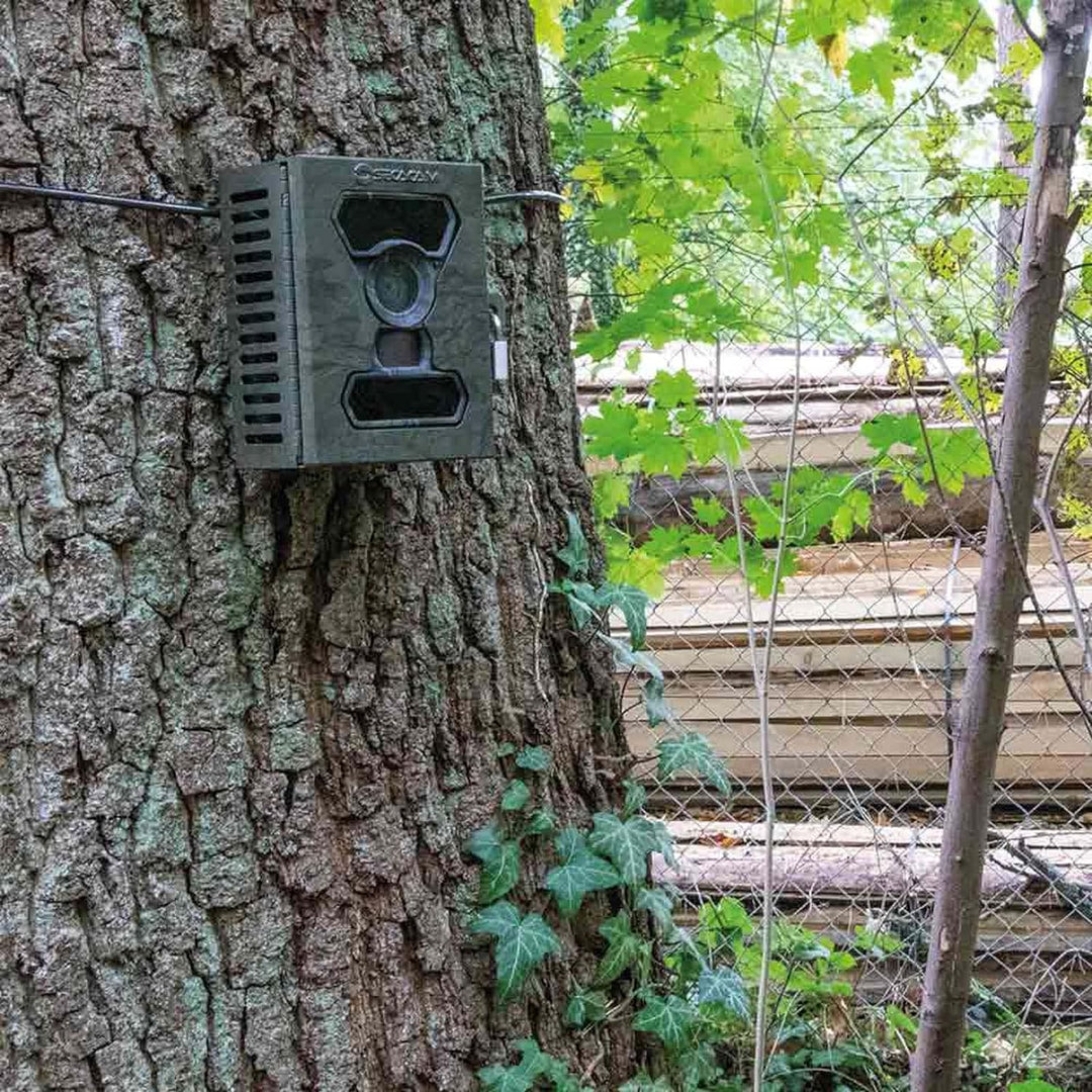 SECACAM Metallgehäuse HomeVista / Raptor grün-texturiert - Wildkamera Gehäuse Schutzgehäuse Tierkame