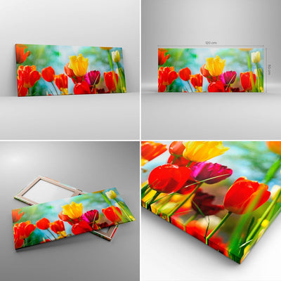 Wandbilder Dekoration Wohnzimmer Tulpe Blume Plantage Wiese Panorama Bilder auf Leinwand 120x50cm Le