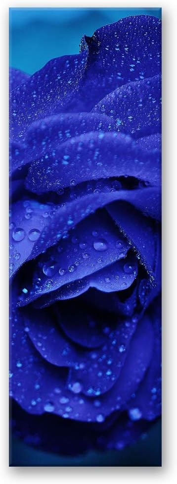 Feeby Bild auf Leinwand Natur Kunstdruck modern Rose Blau 30x90 cm Leinwandbild 30x90 cm Blau_a, Lei