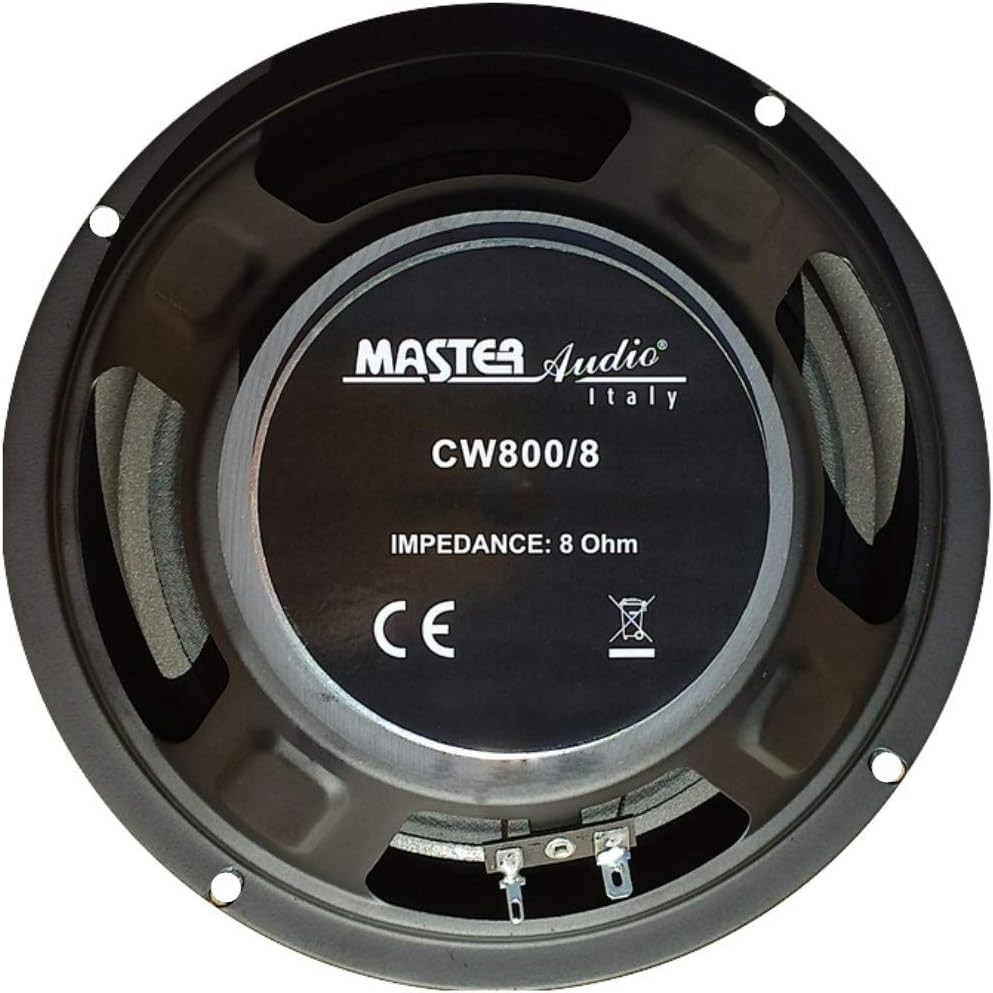 VOM GESCHÄFT LA MAISON CHIC 2011: LAUTSPRECHER NIEDRIGE MITTE WOOFER DIFFUSER MASTER AUDIO CW800/8 C