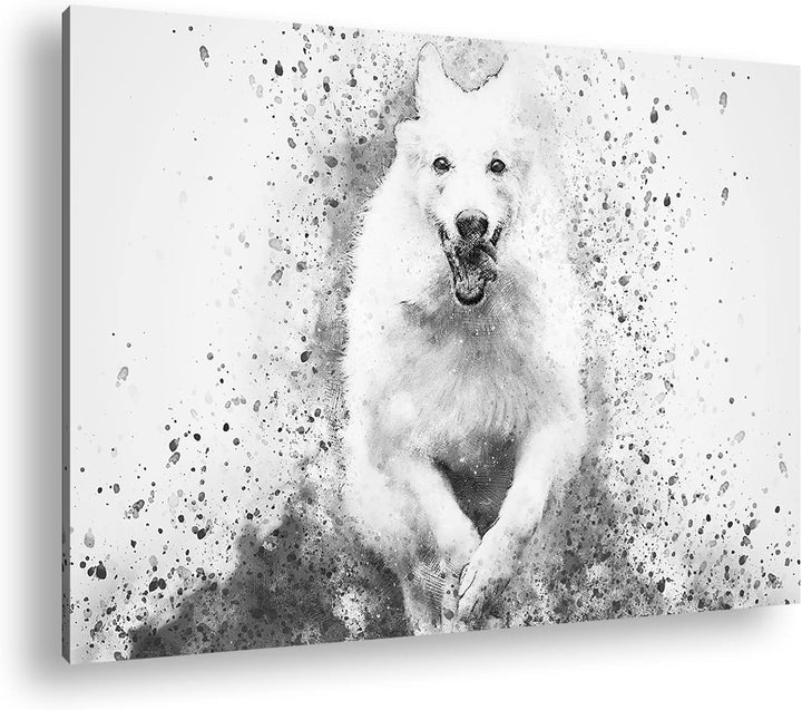deyoli spielender Hund Format: 100x70 Effekt: Schwarz&Weiss als Leinwandbild, Motiv fertig gerahmt a