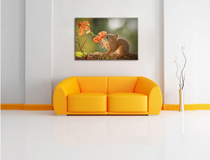 Pixxprint süsses Eichhörnchen riecht an Einer Blume, Format: 100x70 auf Leinwand, 100x70