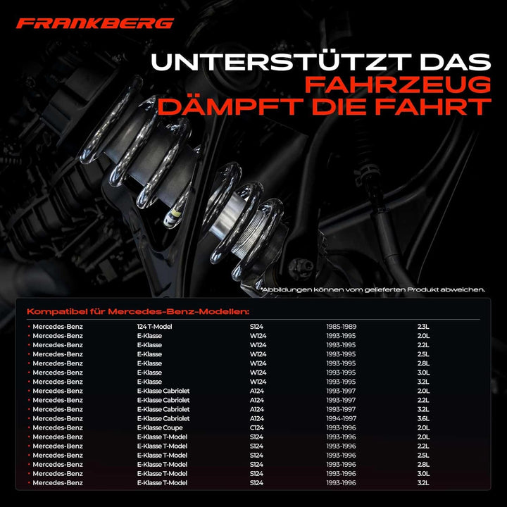 Frankberg 2x Federn Fahrwerksfeder Hinterachse Kompatibel mit W124 E200 E220 E250 E280 1993-1995 S12