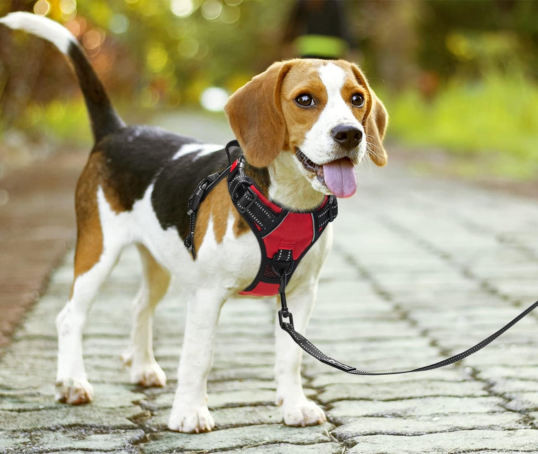 PoyPet Keine Pull Hundegeschirr Front Reflektierende Pet Weste für Hunde mit Einfache Kontrolle Grif