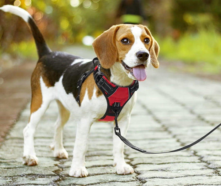 PoyPet Keine Pull Hundegeschirr Front Reflektierende Pet Weste für Hunde mit Einfache Kontrolle Grif