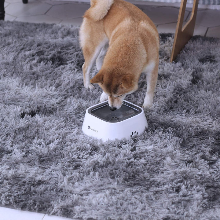 LumoLeaf Wassernapf für Hunde, 1L, Anti-Schwapp Fressnapf Hund Unterwegs, Kein Verschütten Auslaufsi