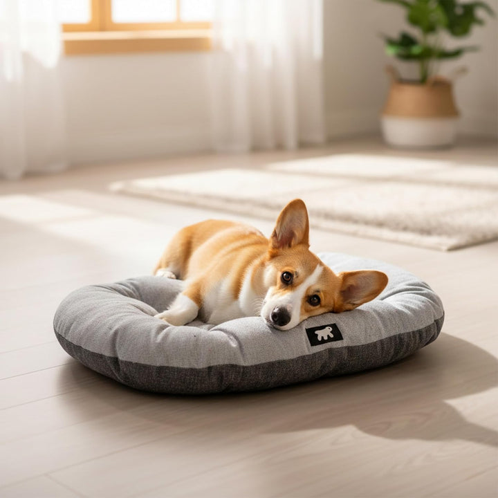 Ferplast Hundebett Relax, Hundekissen, Katzenkissen, Hundematte für Hundehütten und Autos – waschbar
