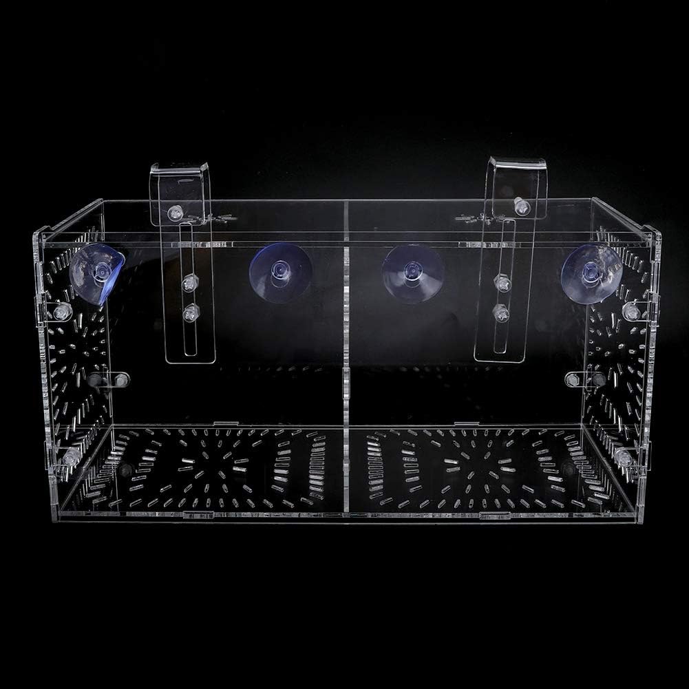 Pssopp Aquarium Zuchtbox Fischsämlinge Inkubator Aquarium Isolationsbox Aquarium Brutbrut Fischteile