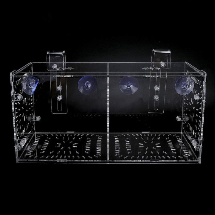 Pssopp Aquarium Zuchtbox Fischsämlinge Inkubator Aquarium Isolationsbox Aquarium Brutbrut Fischteile