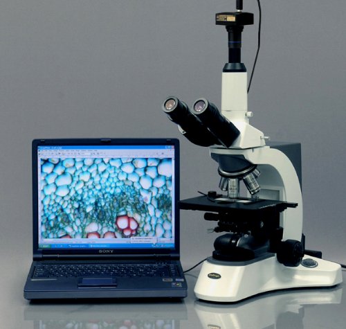 AmScope MU1000 10MP Standbild- und Livebildmikroskop Digitalkamera und Bearbeitungs-, Messsoftware,