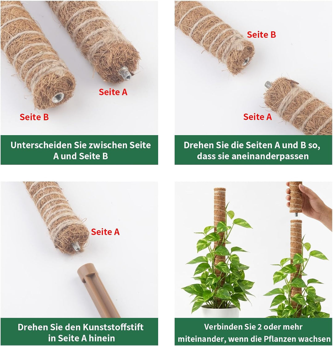 RYHX 4er Set 65cm Biegbare Monstera Rankhilfe, Moosstab und Pflanzstab für Zimmerpflanzen 4×65CM, 4×