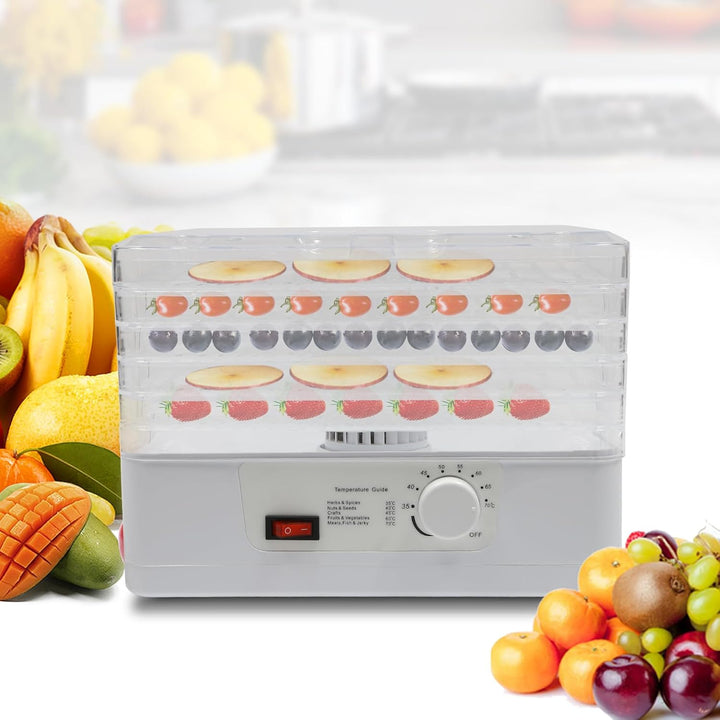 350W Dörrautomat, Dörrgerät Dörrer Dörrapparat Obsttrockner Dehydrator Stufenlos für Verschiedene Ob
