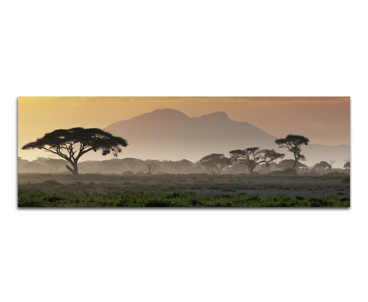 Paul Sinus Art Panoramabild auf Leinwand und Keilrahmen 150x50cm Afrika Wiesen Bäume Berge Sonnenunt
