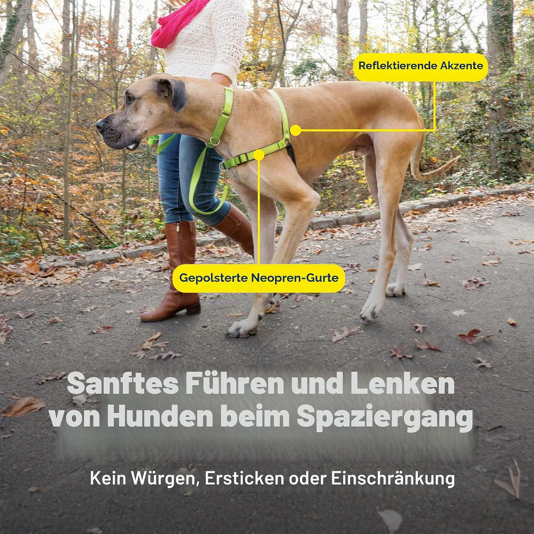 PetSafe Deluxe Easy Walk Hundegeschirr apfelgrün Medium, apfelgrün Medium