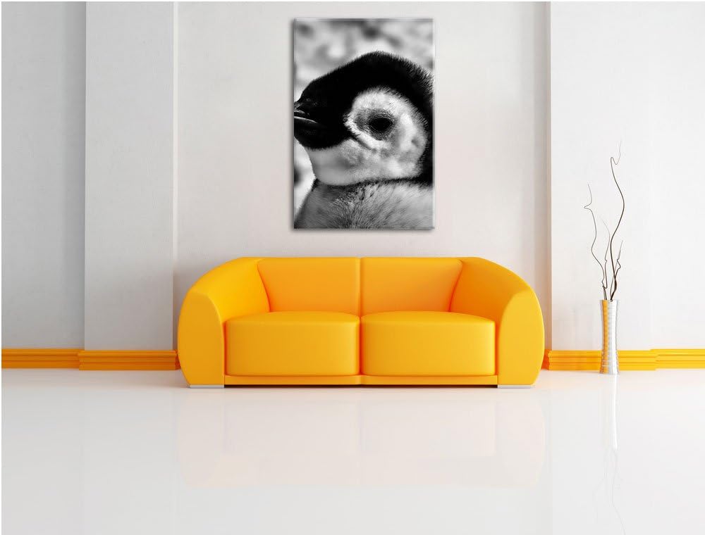 Pixxprint DREI Kaiserpinguin-Küken als Leinwandbild | Grösse: 100x70 cm | Wandbild | Kunstdruck | fe