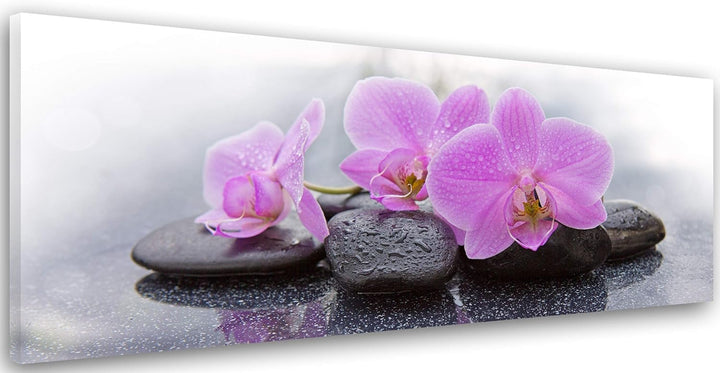 Feeby. Leinwandbild, Bilder, Wand Bild, Wandbilder, Kunstdruck 150x50 cm, ZEN, ORCHIDEE, ROSA