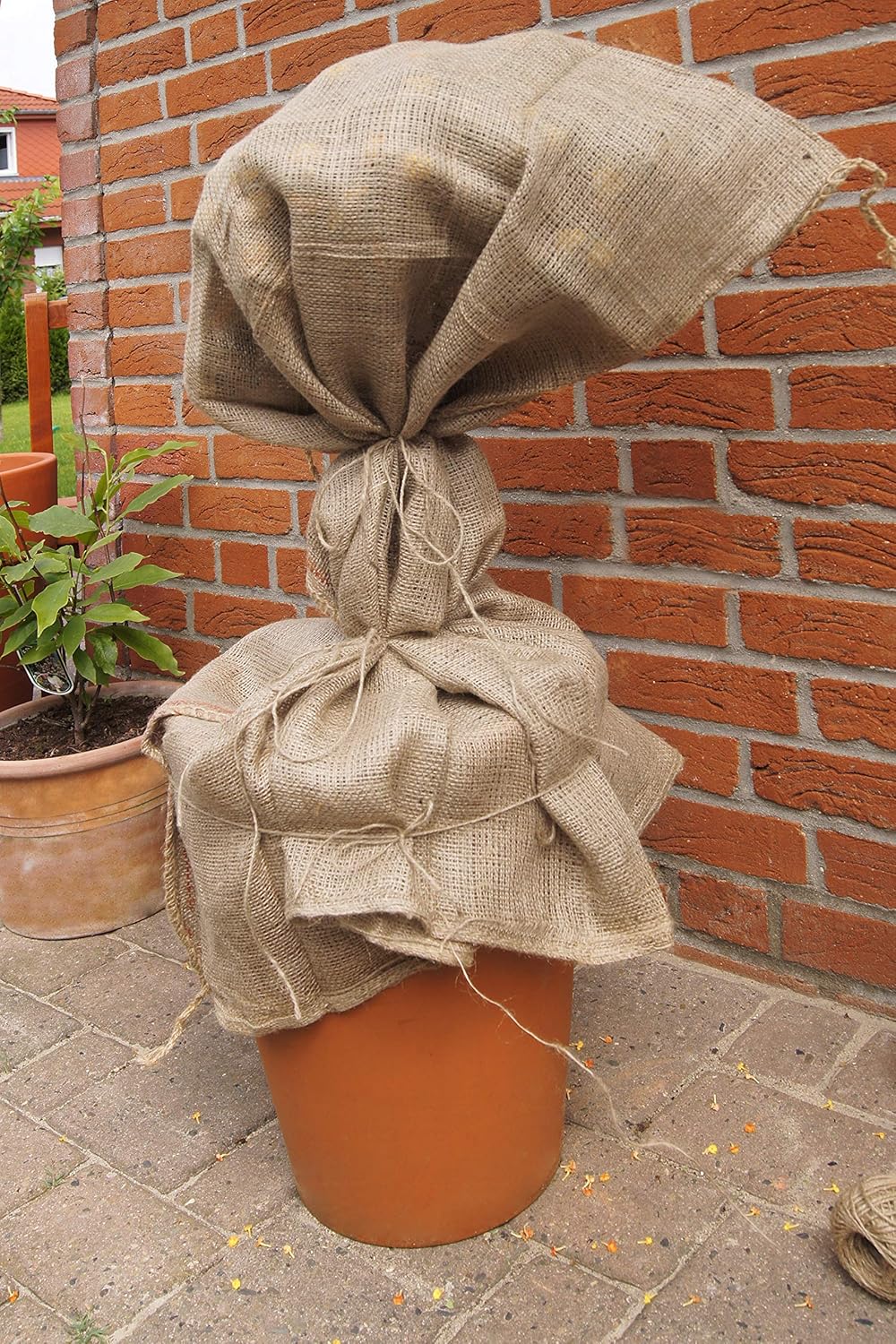 Meister Jute-Schnur 3 mm x 50 m - Zum Binden, Dekorieren &amp; Verpacken - Reissfest &amp; witterungsbeständ