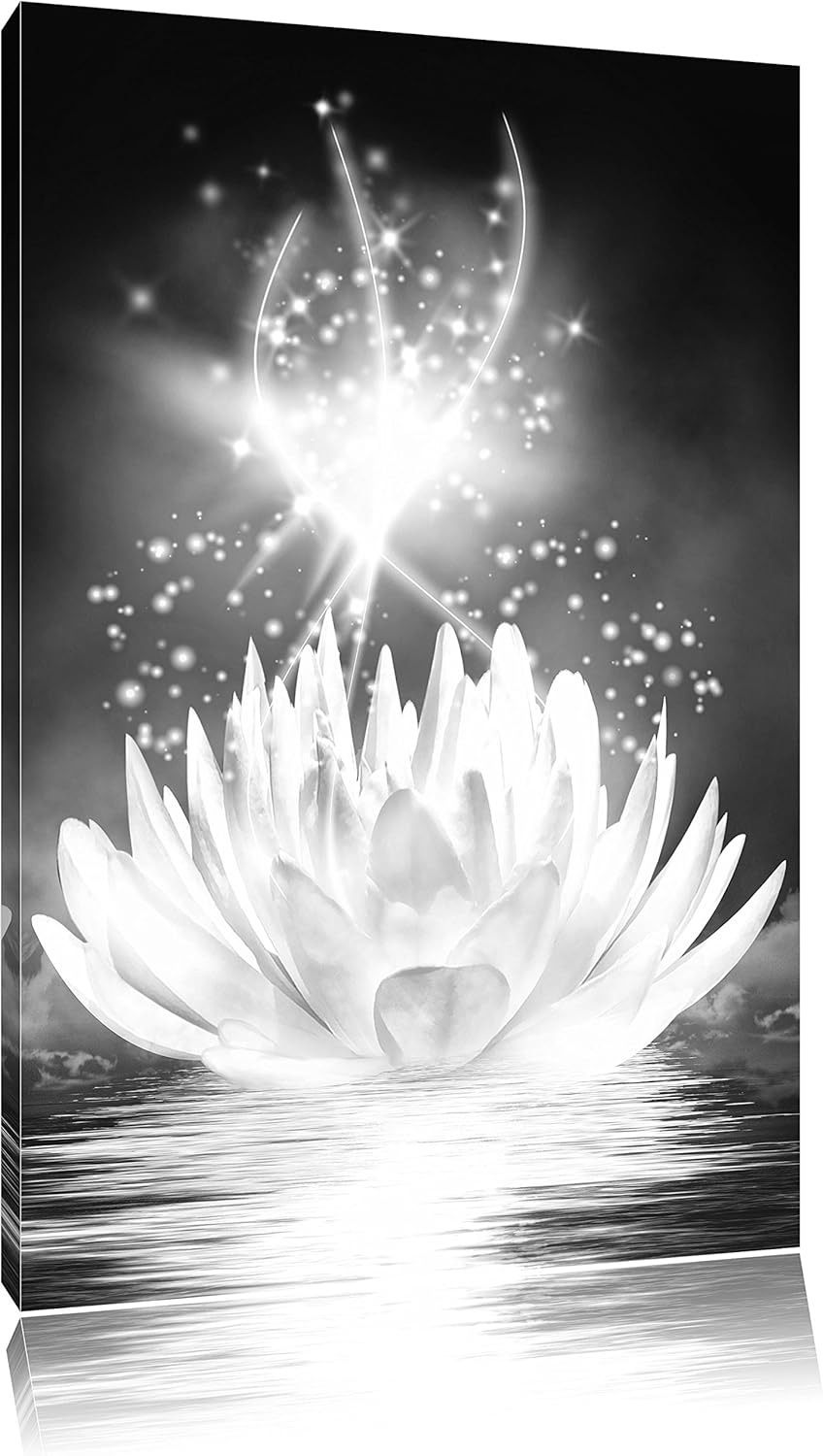 Pixxprint abstrakte Seerose Kunst B&W als Leinwandbild/Grösse: 100x70 cm/Wandbild/Kunstdruck/fertig