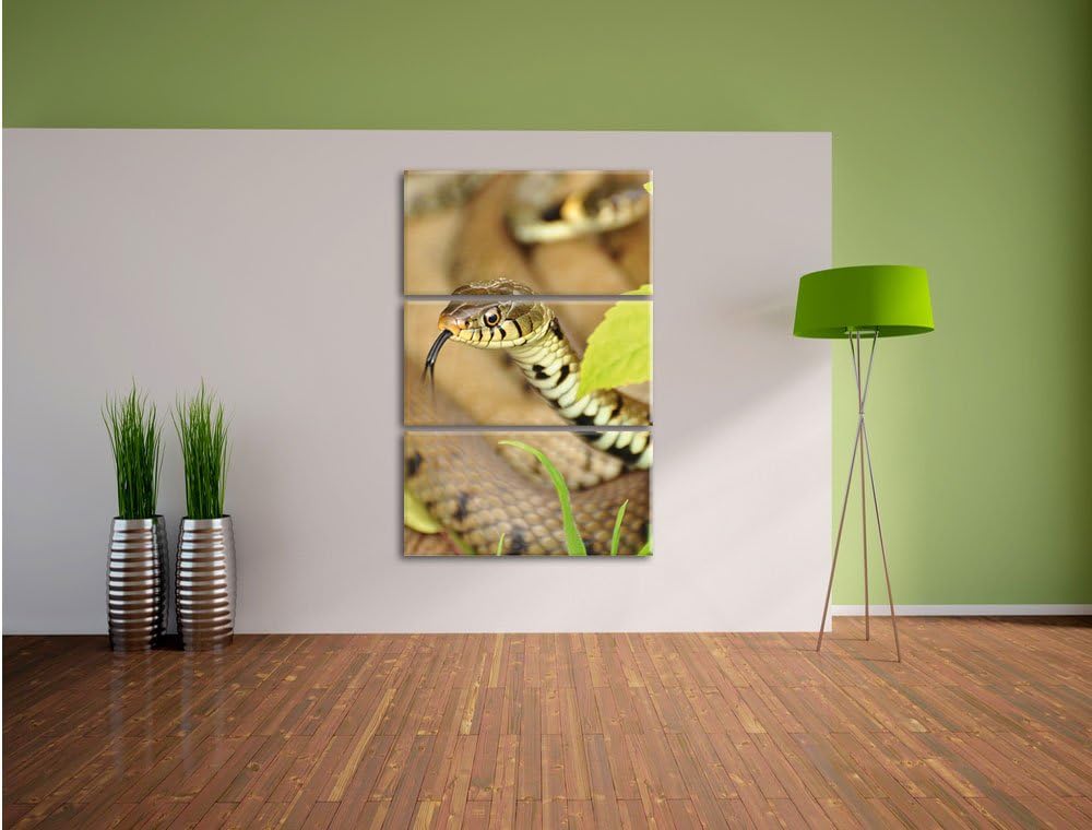Pixxprint beeindruckende Schlange 3-Teiler Leinwandbild 120x80 Bild auf Leinwand