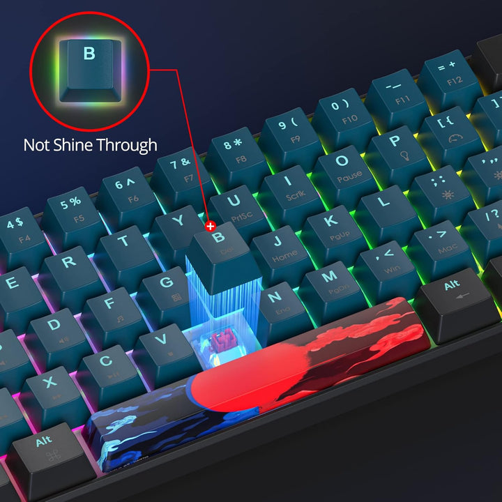 SOLIDEE mechanische gaming tastatur 60 prozent,61 Tasten kompakte mechanische tastatur RGB Hintergru