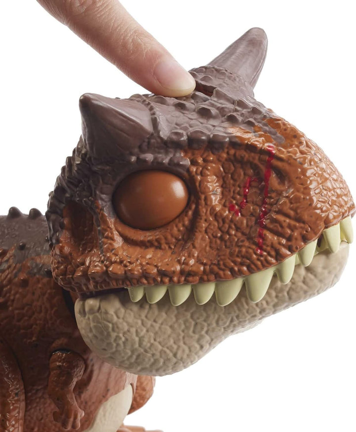 Jurassic World HBY85 - Beissangriff Carnotaurus Toro-Dinosaurier-Actionfigur, Dinosaurier Spielzeug