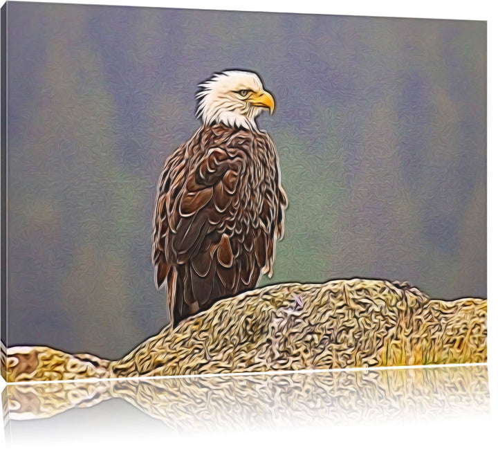 wachsamer Adler auf Fels Spezial Format: 100x70 cm auf Leinwand, XXL riesige Bilder fertig gerahmt m