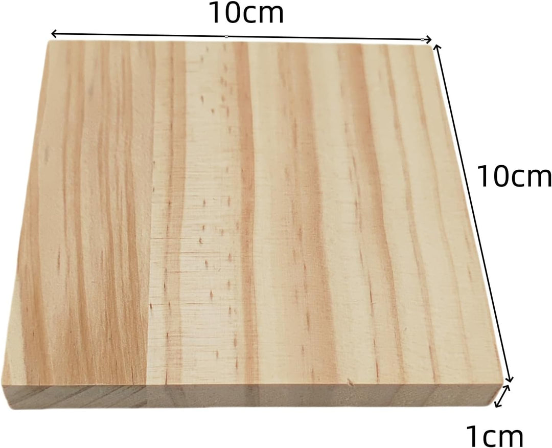 12 Stück Unlackierte quadratische Holzblöcke zum Basteln, 10 x 10 x 1 cm blanko Holzquadrate aus Kie