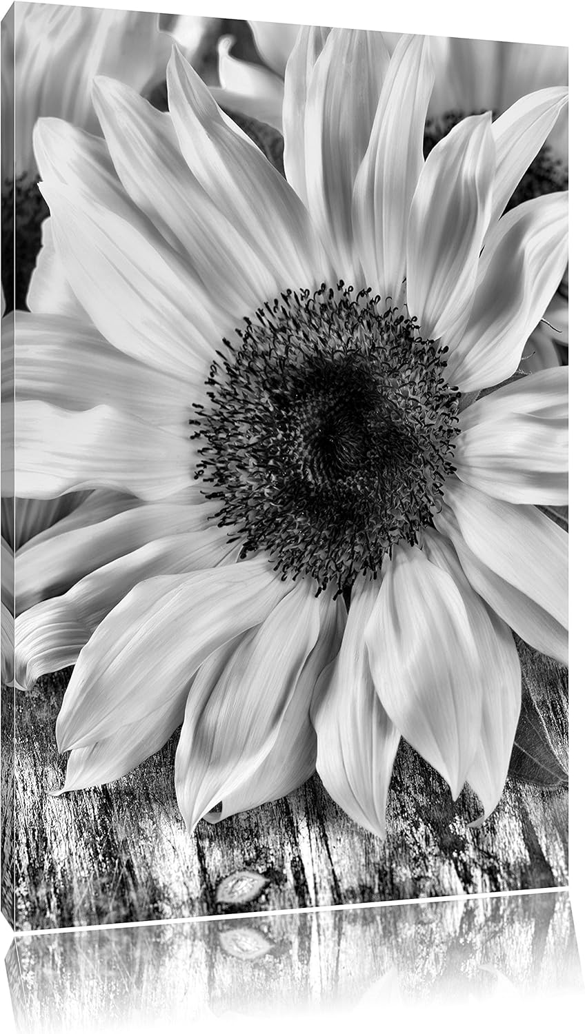 Pixxprint Monocrome, Sonnenblumen auf altem Holztisch, Format: 100x70 auf Leinwand, XXL riesige Bild