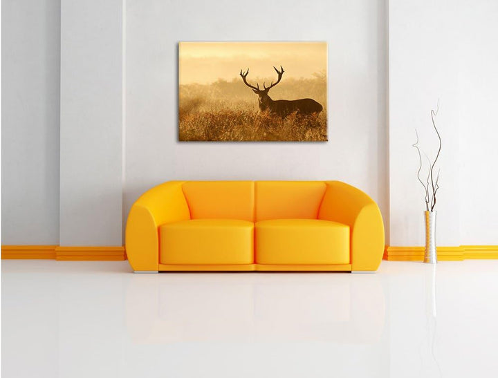 Pixxprint Rotwild Hirsch in Abenddämmerung als Leinwandbild/Grösse: 100x70 cm/Wandbild/Kunstdruck/fe
