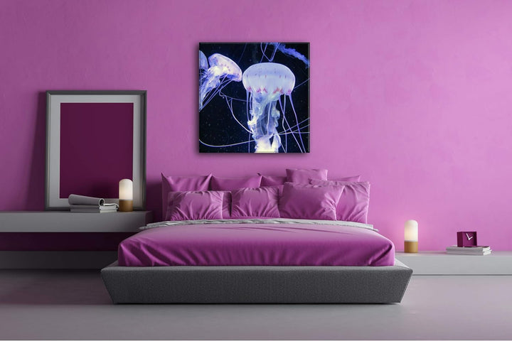 deyoli Elegante Meeresquallen Format: 60x60 als Leinwandbild, Motiv fertig gerahmt auf Echtholzrahme