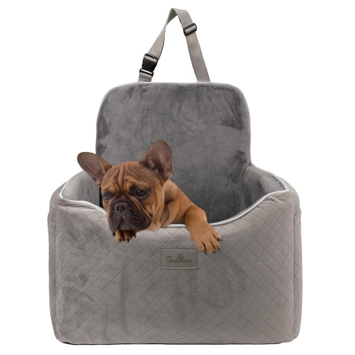 Luxus Hundeautositz – Bequemer Reisesitz für mittelgrosse Hunde, Hohe Sitzposition mit Sicherungsgur