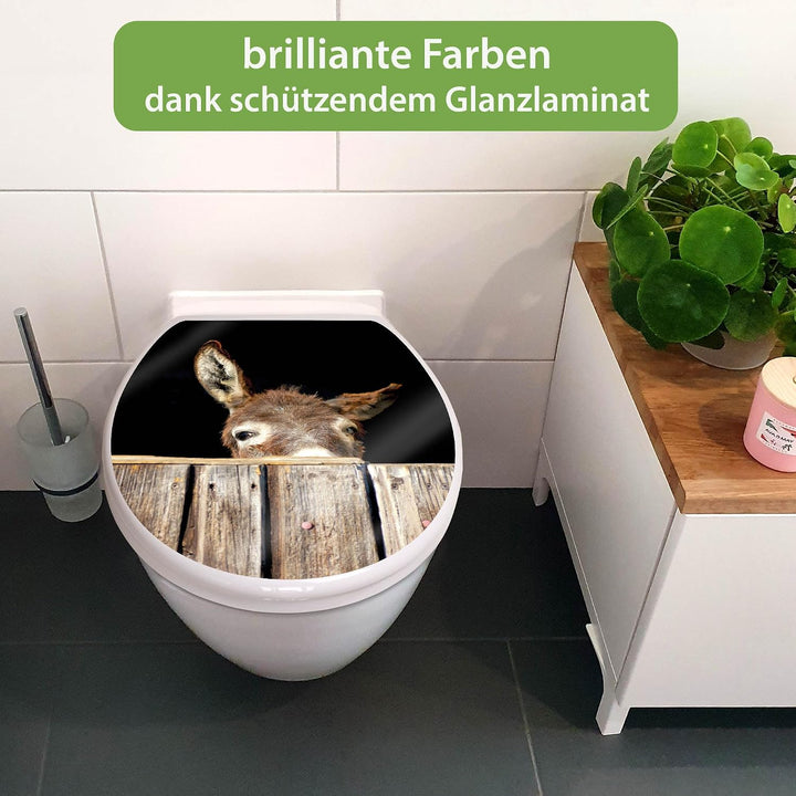 banjado Toilettendeckel mit Absenkautomatik 44,5x37cm - Soft Close Toilettensitz - WC Sitz mit Absen