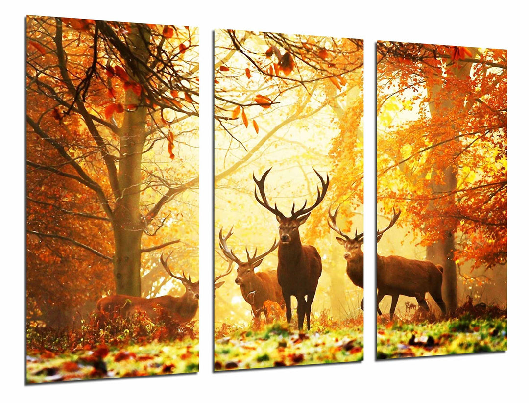 Wandbild - Tierhirsch in der Natur, Herbstlandschaft, 97 x 62 cm, Holzdruck - XXL Format - Kunstdruc