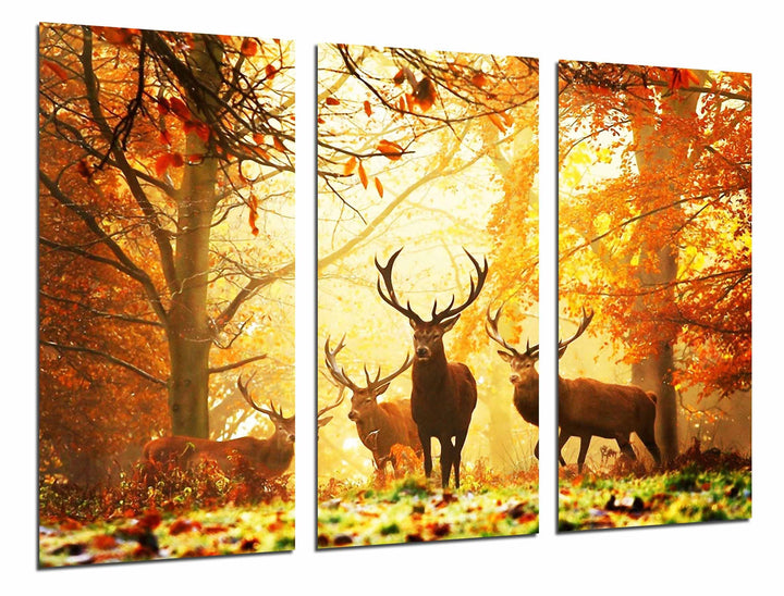 Wandbild - Tierhirsch in der Natur, Herbstlandschaft, 97 x 62 cm, Holzdruck - XXL Format - Kunstdruc