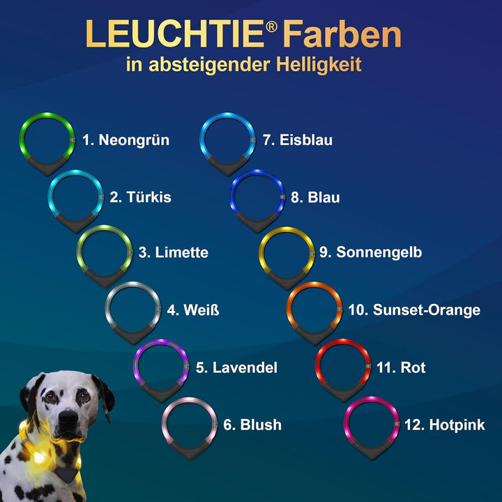LEUCHTIE® Leuchthalsband Plus blau Grösse 37,5 I LED Halsband für Hunde I 100 h Leuchtdauer I wasser
