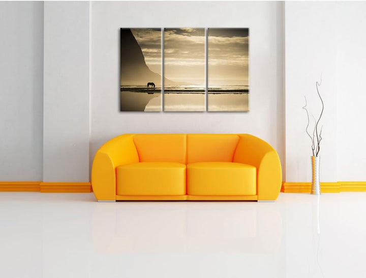 Pixxprint Pferd am Ufer Einer Insel / 3-Teilig/Gesamtmass 120cm Leinwandbild bespannt auf Holzrahmen