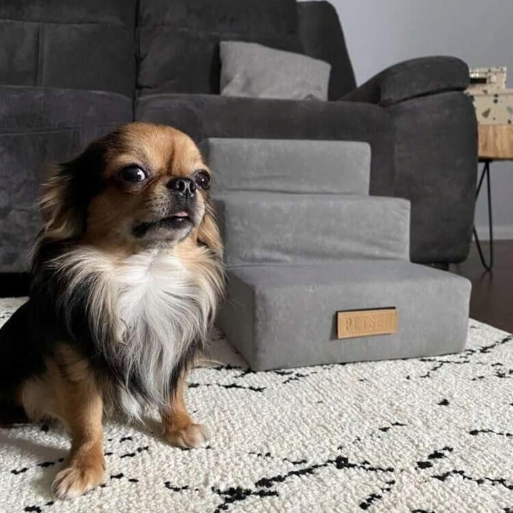 Sofatreppe für Hunde und Katzen – Hundetreppe für Bett & Sofa – 3- oder 4-stufig, rutschfest & wasch