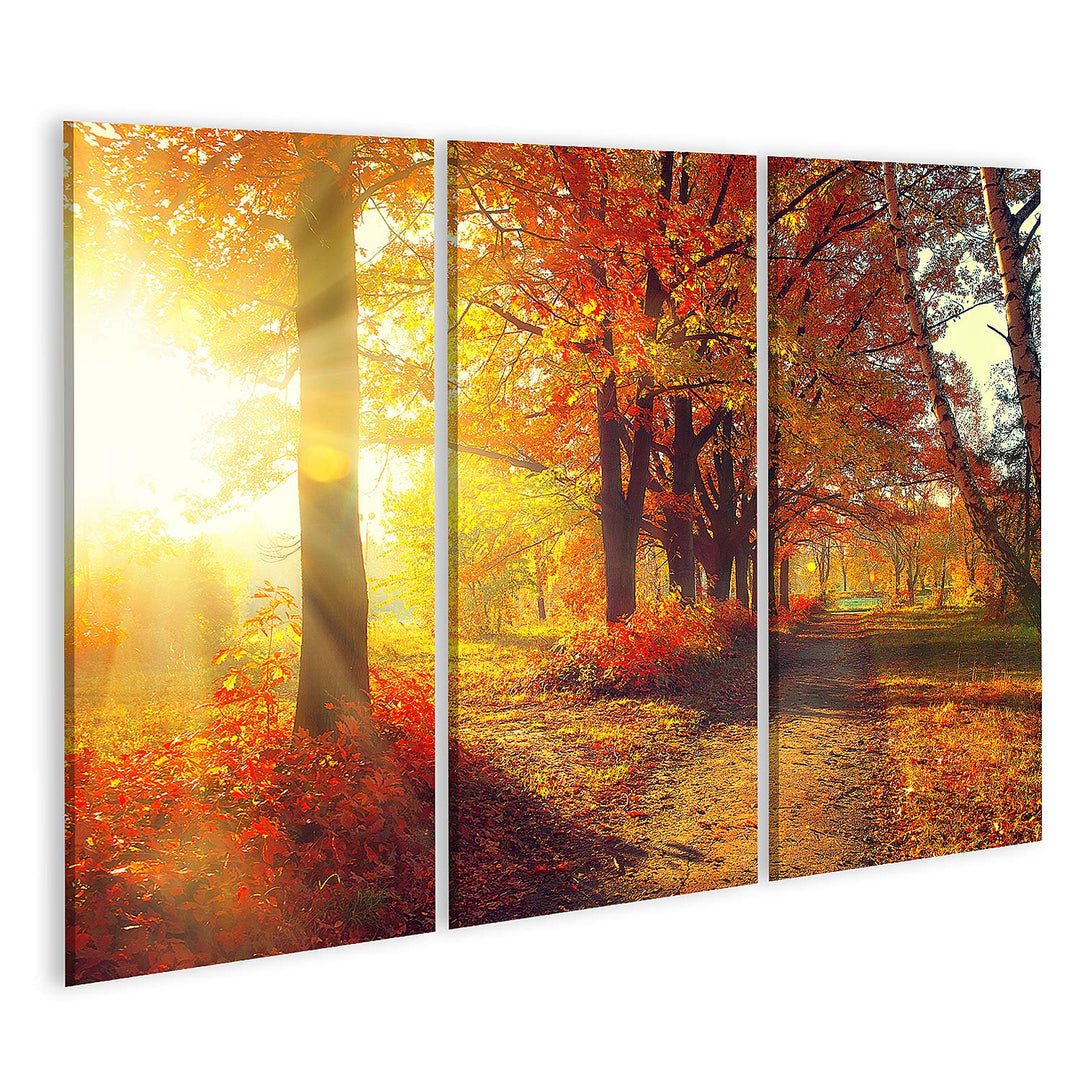 islandburner Bild auf Leinwand Herbst Herbstpark Herbstliche Bäume Und Blätter In Sonnenstrahlen Bil