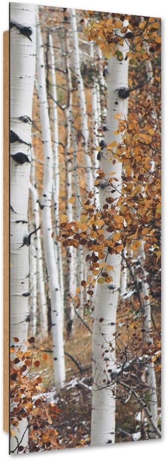 Feeby Wanddeko Birken Bild Kunstdruck modern Wald Weiss 30x90 cm M14626 30x90 cm, M14626 30x90 cm