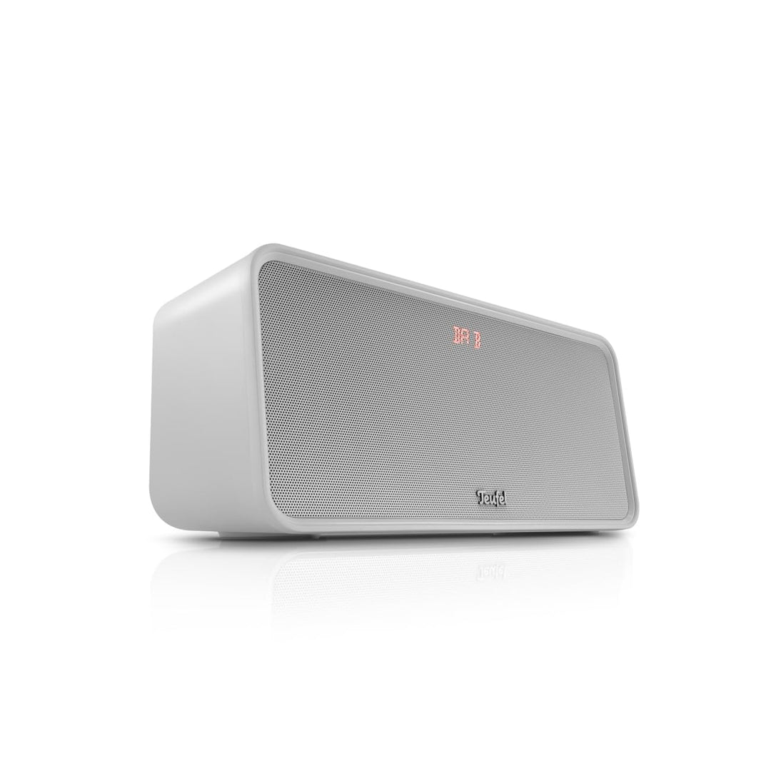 Teufel BOOMSTER 4 Robuster Bluetooth Lautsprecher mit 2.1-Stereo-System Soundsystem DAB+ und FM-RDS-