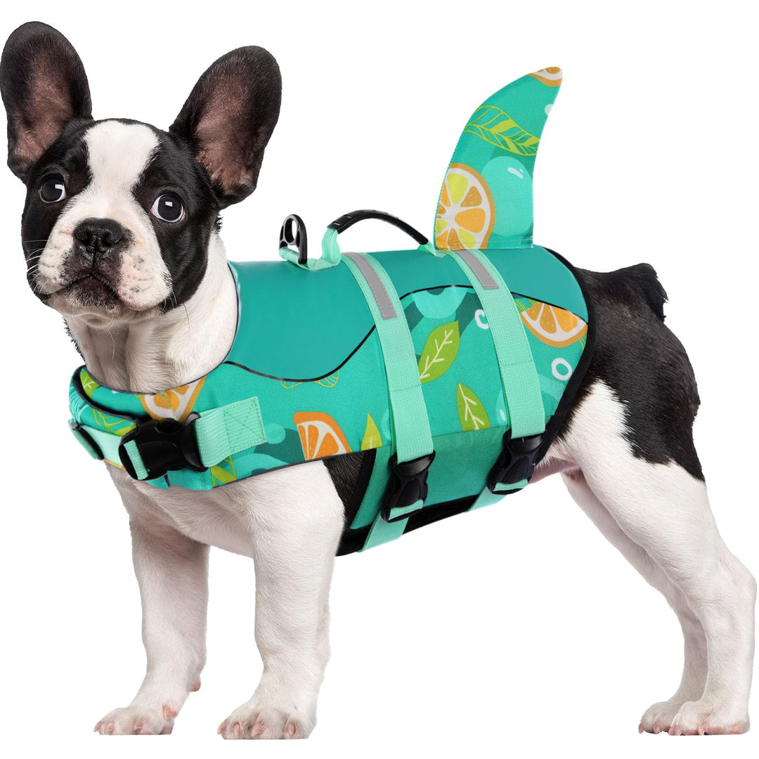 CITÉTOILE Schwimmweste Hunde Hai, Leicht und Sicher für Wassersport, hundeschwimmweste mit Griff und